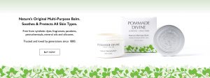 Website Banner Design Skin Care Pommade Divine
