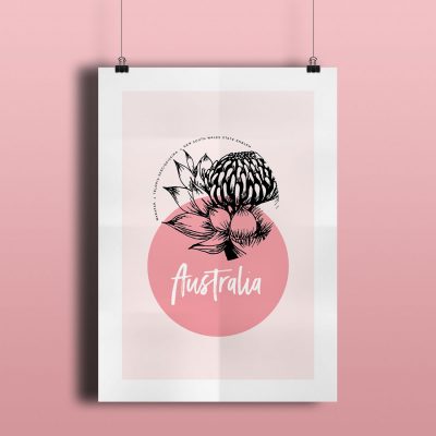 Australia Poster – Native Flower Waratah