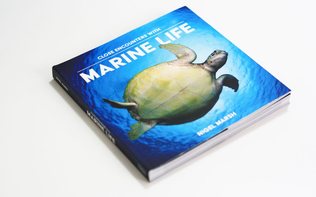 Close Encounter with Marine Life – Natural history book